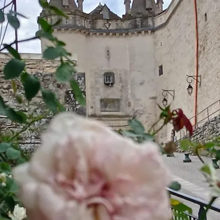 La Vie De Chateau Grignan