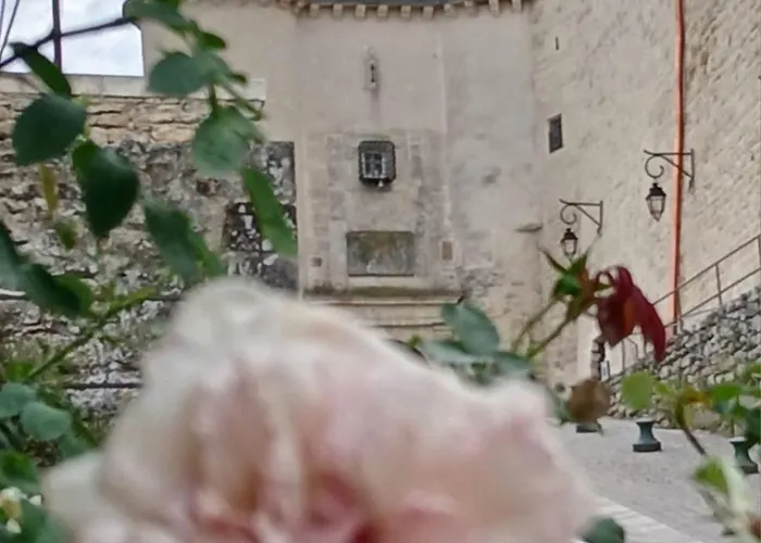 La Vie De Chateau Grignan