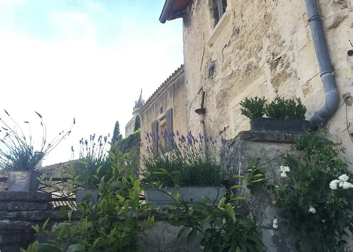 La Vie De Chateau Pensión 4*